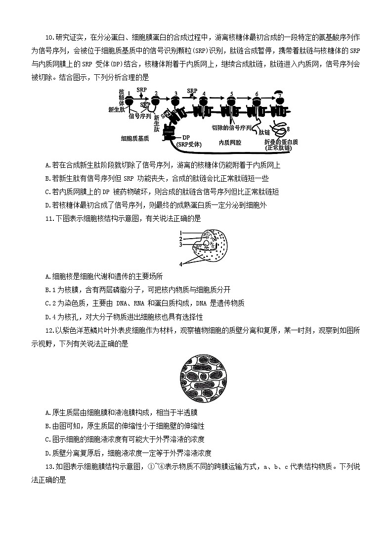 辽宁省普通高中20242025学年高一上学期12月联合考试生物试题第3页