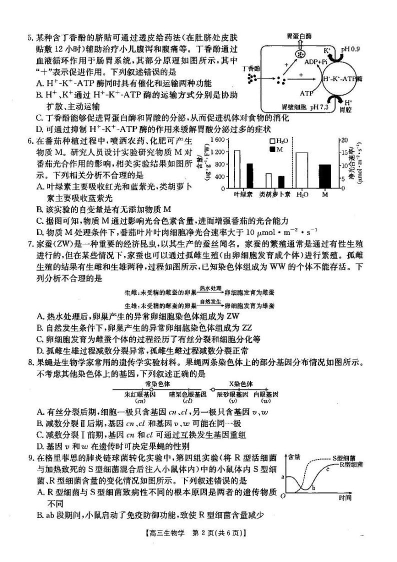 生物试卷第2页