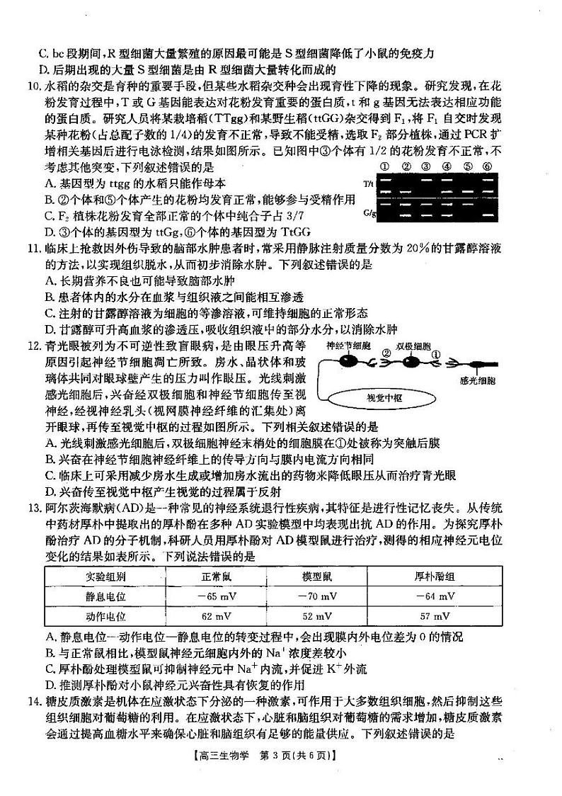生物试卷第3页