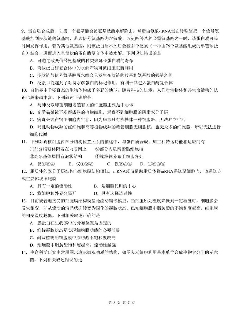 广东实验中学附属江门学校2024-2025学年高一上学期期中考试生物试题第3页