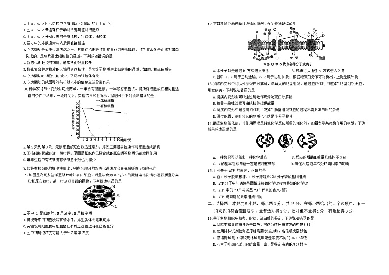 生物试题第2页