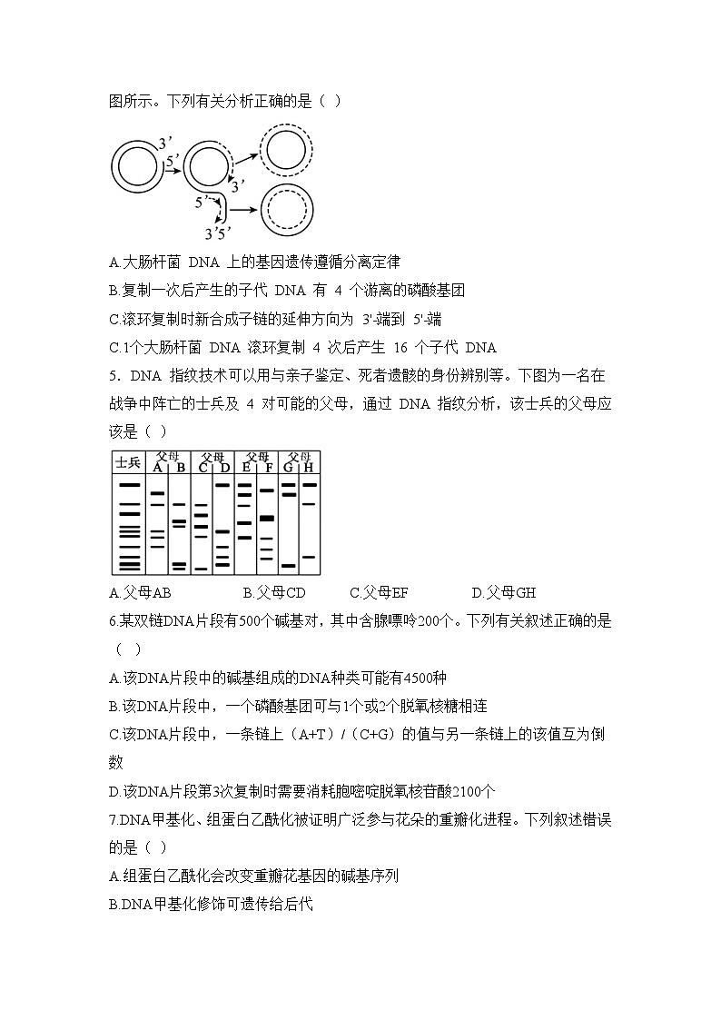 四川省眉山市仁寿县铧强中学2024-2025学年高二上学期11月期中生物试题第2页