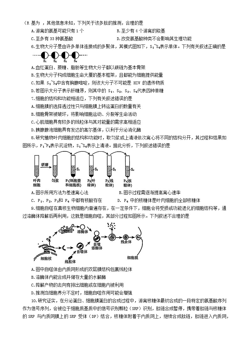 辽宁省普通高中2024-2025学年高一上学期12月联合考试生物试题第2页