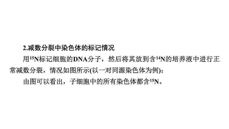 2025届生物高考  二轮复习 细胞的生命历程　热点情境　直击高考方向 课件 (1)第7页