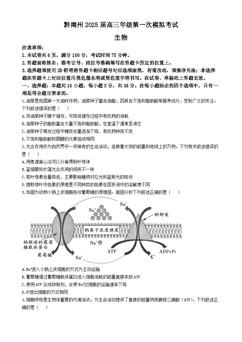 贵州省黔南布依族苗族自治州2025届高三第一次模拟考试生物第1页