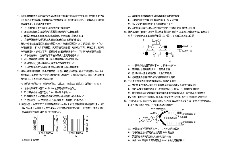 2025届高三第四次月考生物试卷第2页