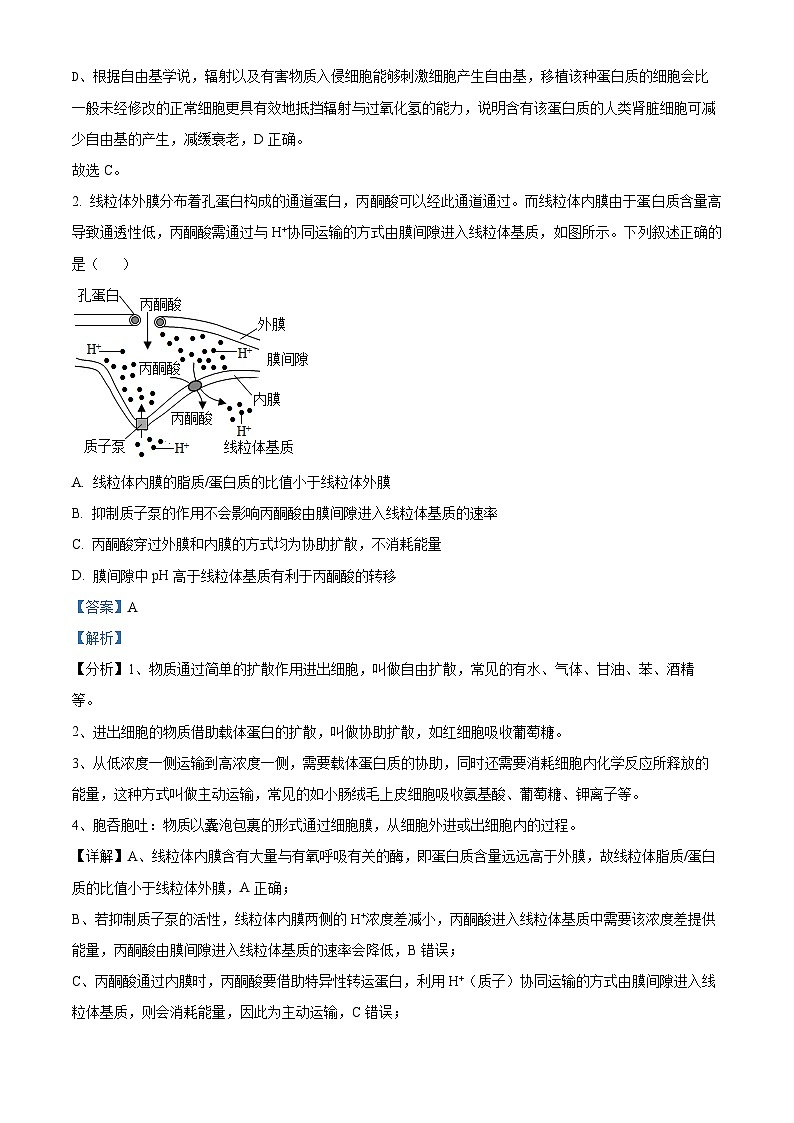 山东省济南第一中学2024-2025学年高三上学期期中学情检测试题生物答案第2页
