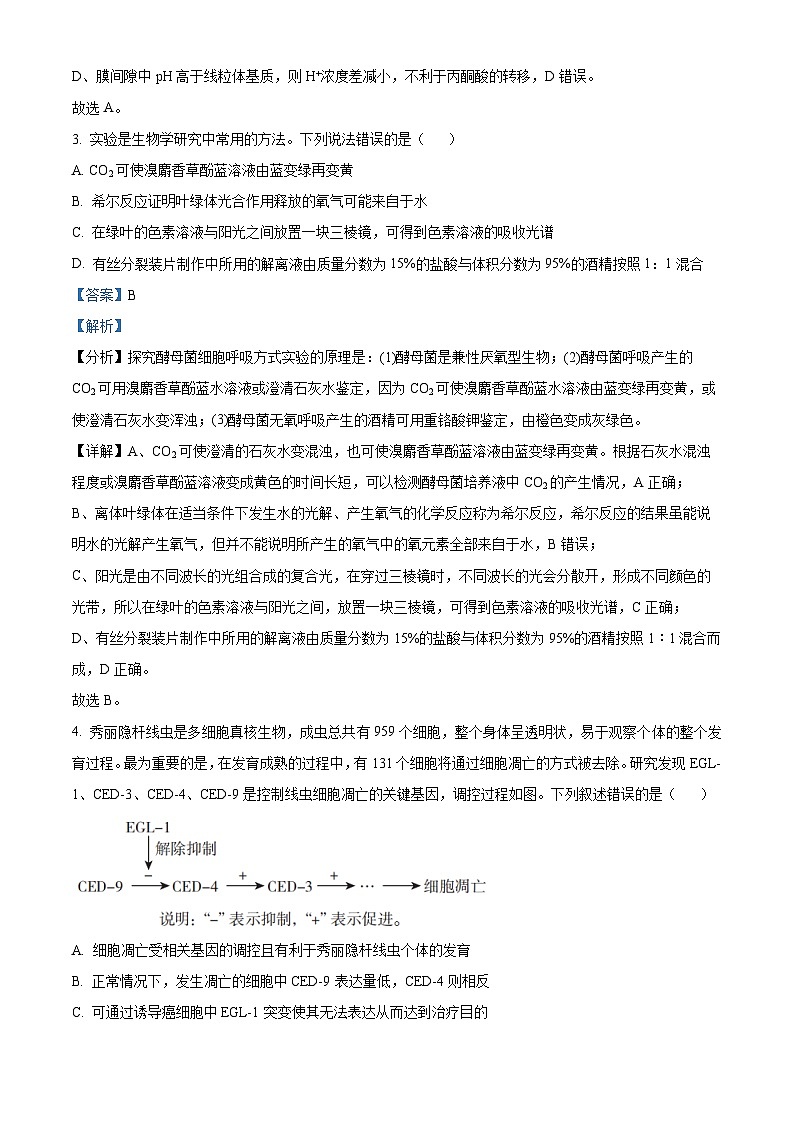山东省济南第一中学2024-2025学年高三上学期期中学情检测试题生物答案第3页