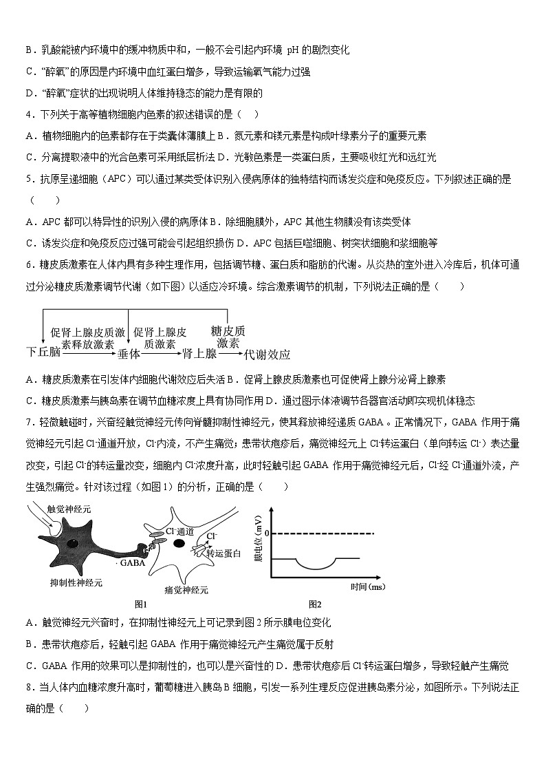 广西钦州市第四中学2024-2025学年高三上学期11月考试生物试题第2页