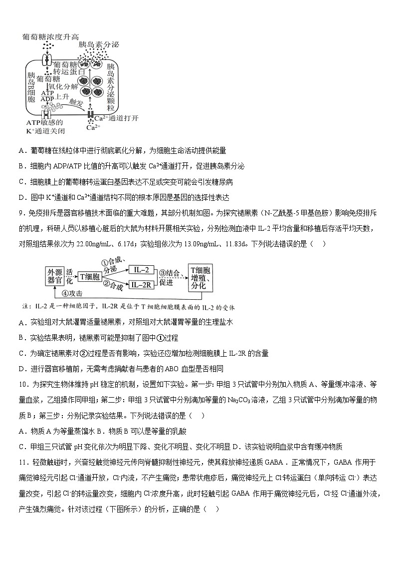 广西钦州市第四中学2024-2025学年高三上学期11月考试生物试题第3页