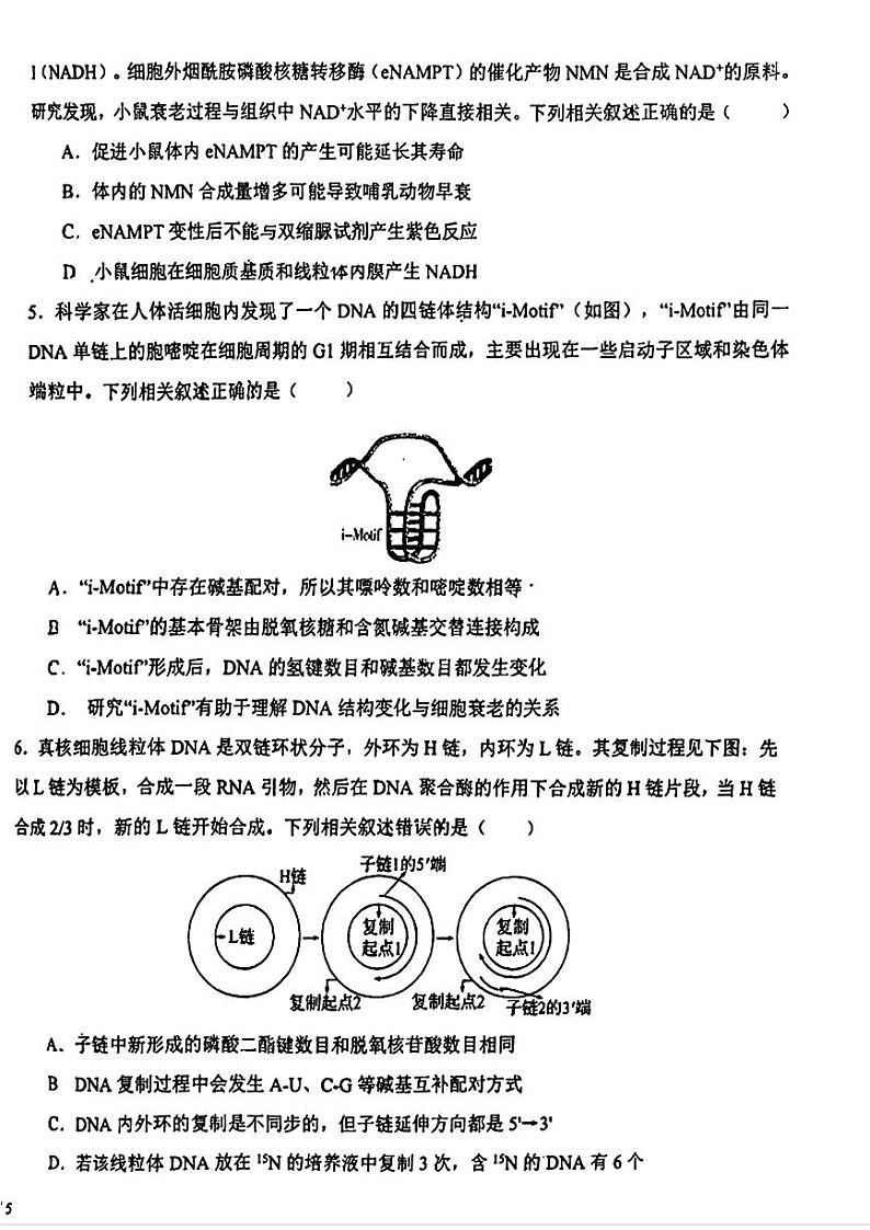 天津市第一中学2024-2025学年高三上学期第二次月考生物试题第2页