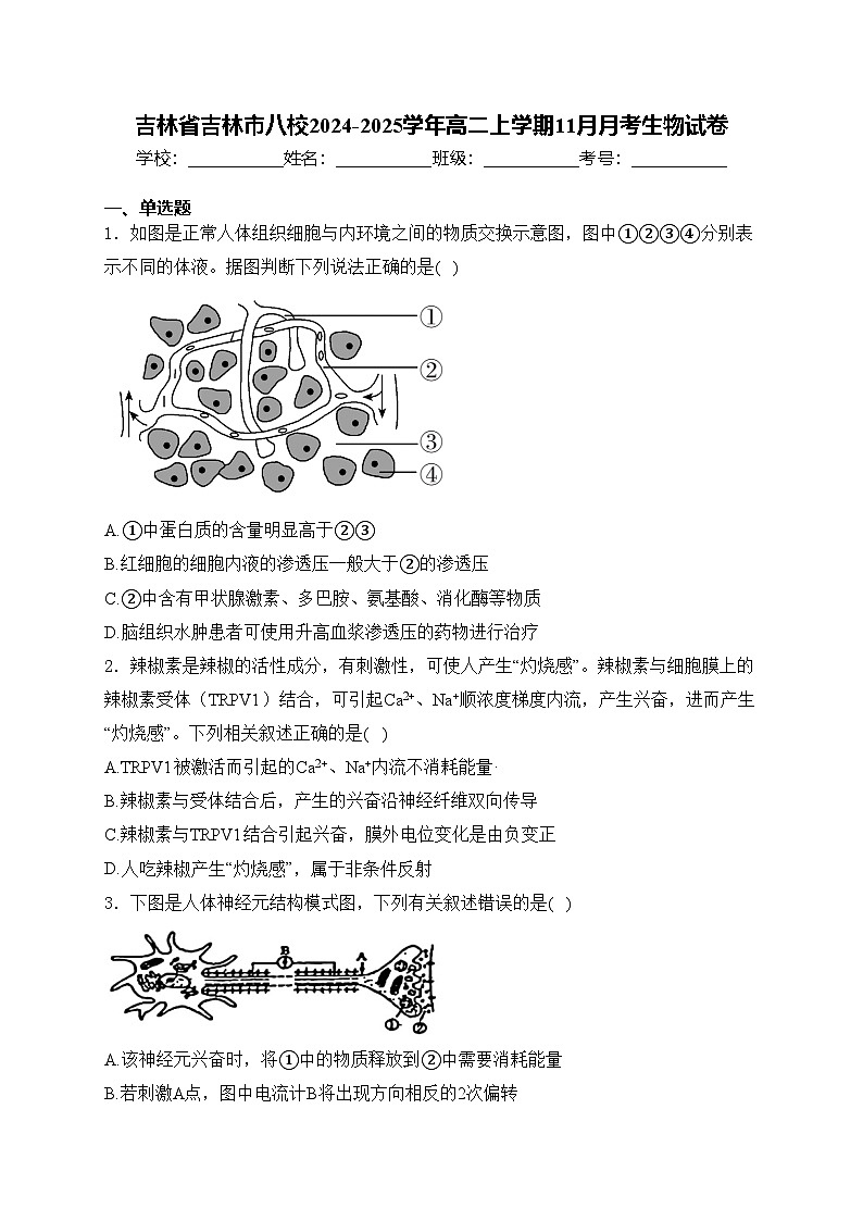 吉林省吉林市八校2024-2025学年高二上学期11月月考生物试卷(含答案)第1页
