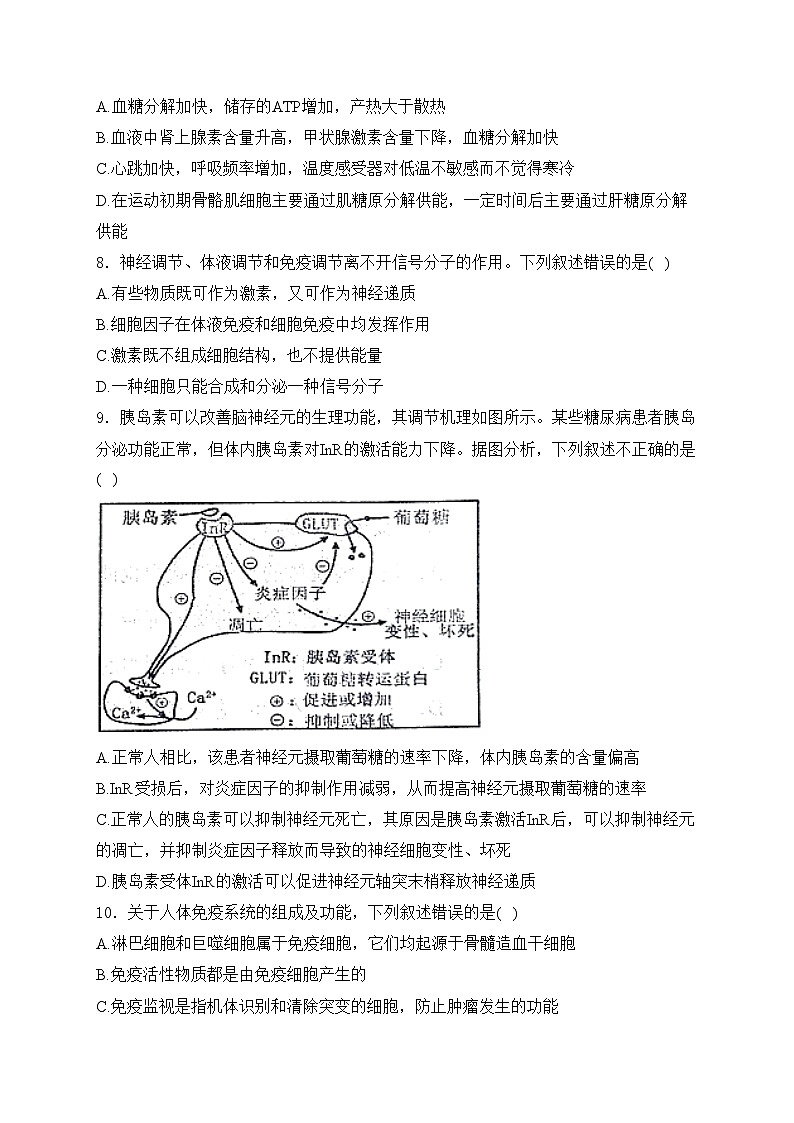吉林省吉林市八校2024-2025学年高二上学期11月月考生物试卷(含答案)第3页