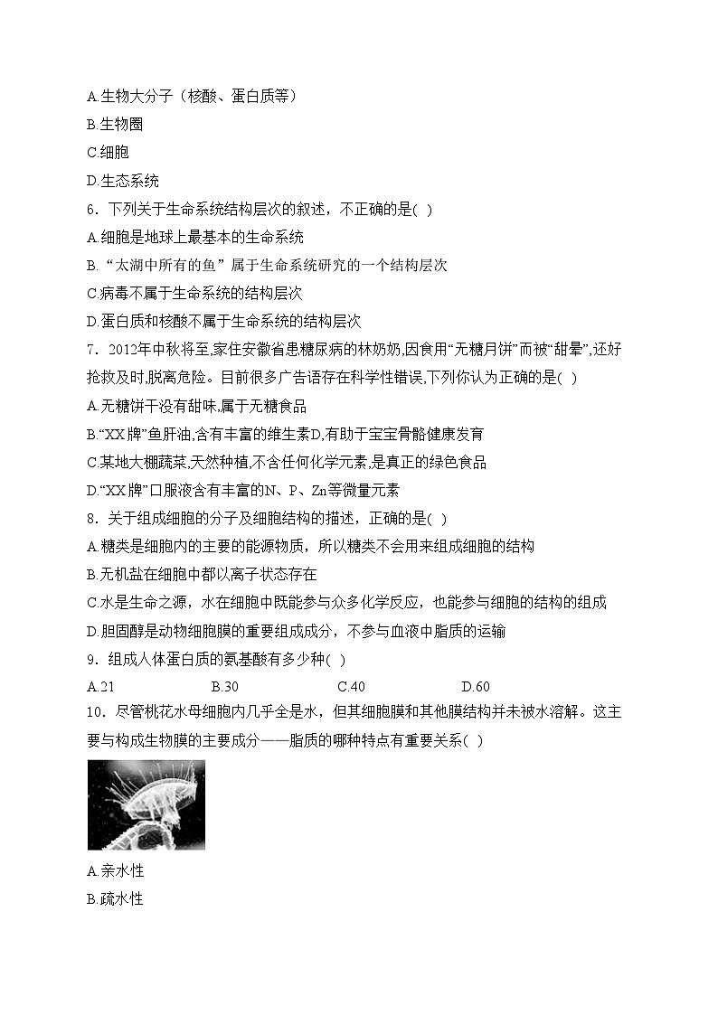 甘肃省兰州第一中学2024-2025学年高一上学期11月月考生物试卷(含答案)第2页