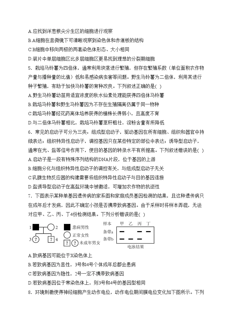 甘肃省靖远县第一中学2025届高三上学期11月期中考试生物试卷(含答案)第2页