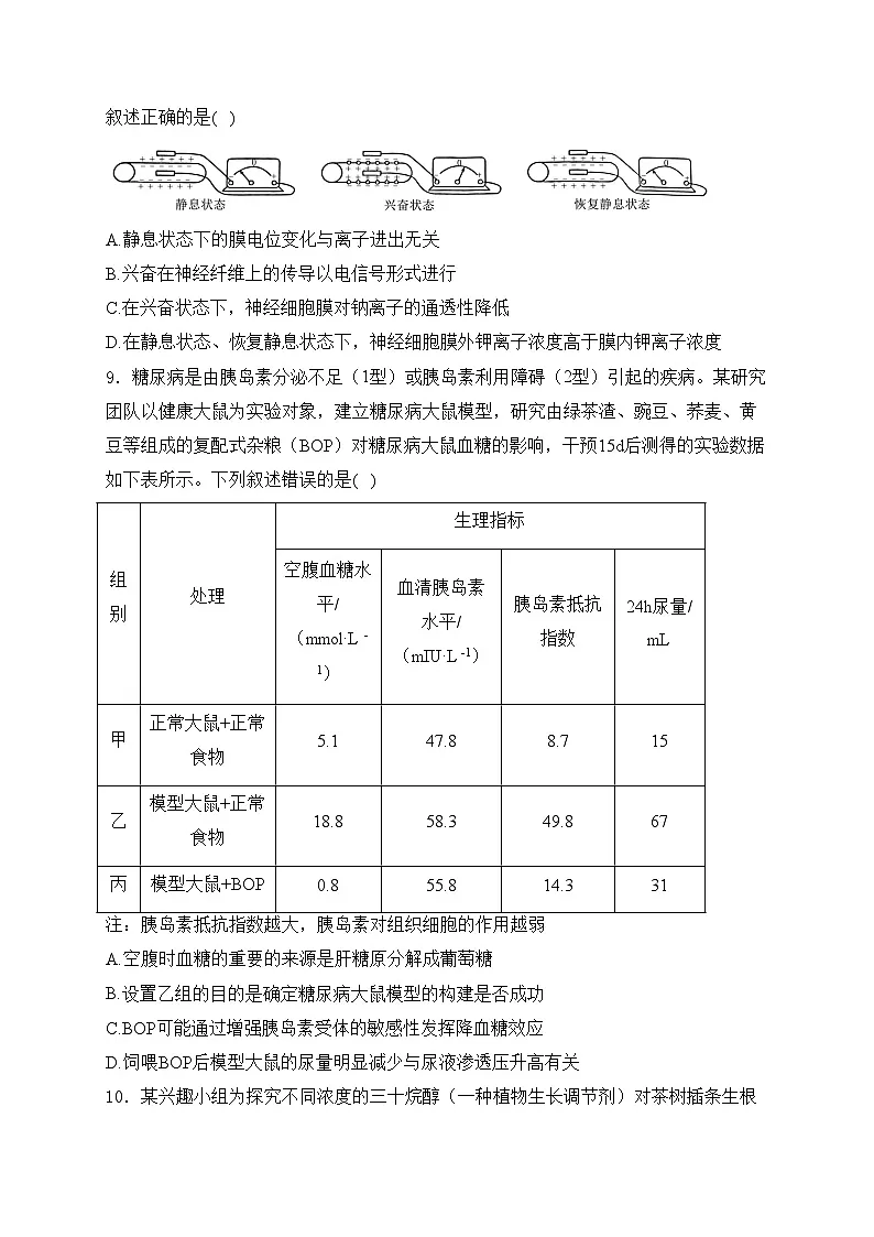 甘肃省靖远县第一中学2025届高三上学期11月期中考试生物试卷(含答案)第3页