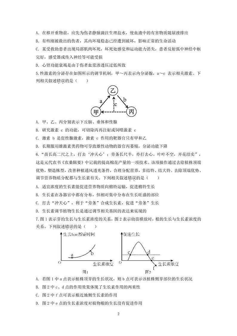 广东省汕头市潮阳区汕头市潮阳区河溪中学2024-2025学年高二上学期11月期中生物试题第2页