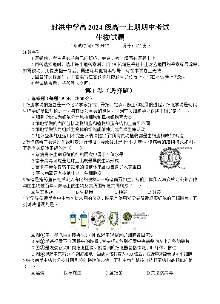 四川省遂宁市射洪中学2024-2025学年高一上学期期中考试生物试题 含答案第1页