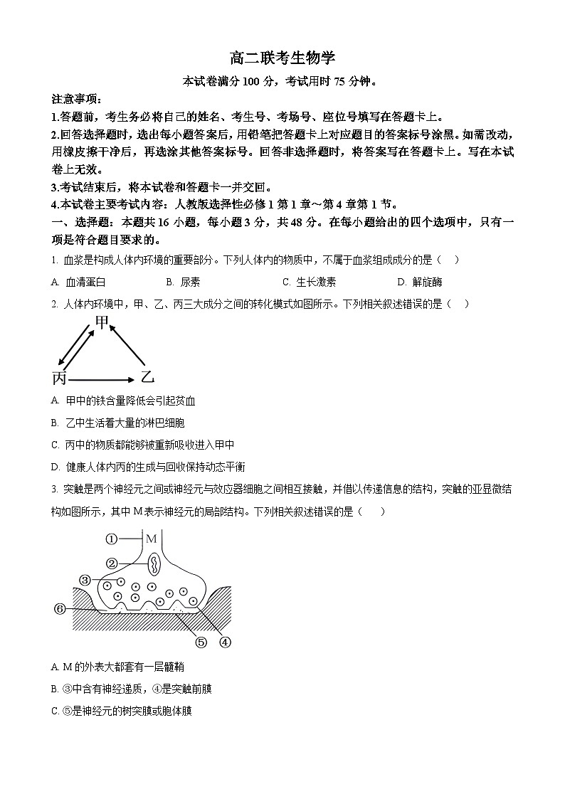 贵州省黔东南苗族侗族自治州2024-2025学年高二上学期11月期中考试生物试题  Word版无答案第1页
