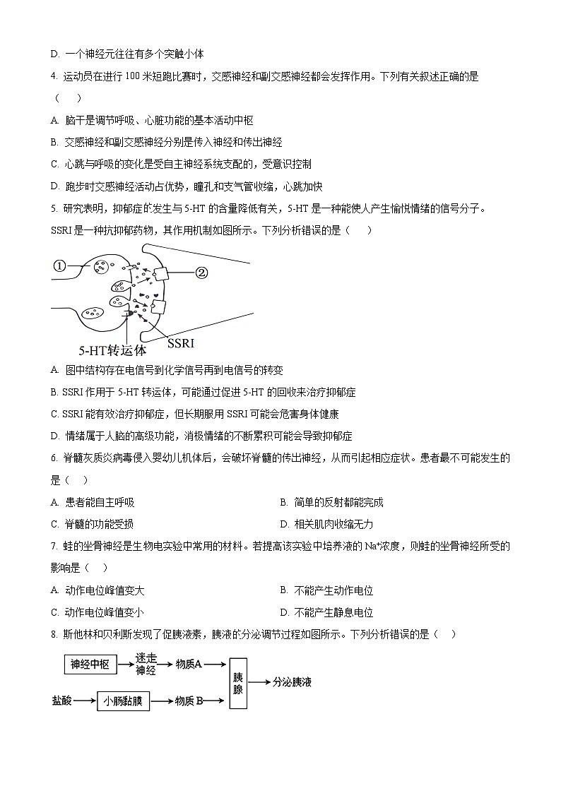贵州省黔东南苗族侗族自治州2024-2025学年高二上学期11月期中考试生物试题  Word版无答案第2页