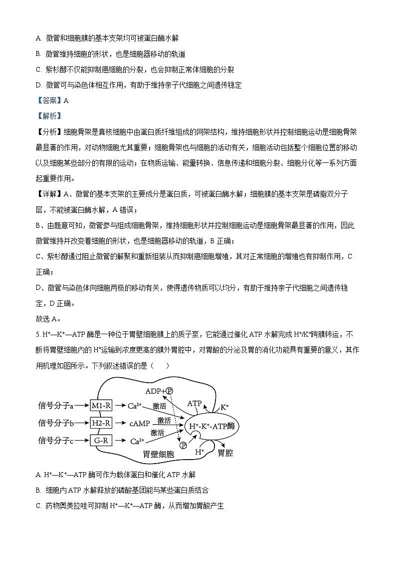 湖北省重点中学2025届高三上学期第一次联考生物试题 Word版含解析第3页