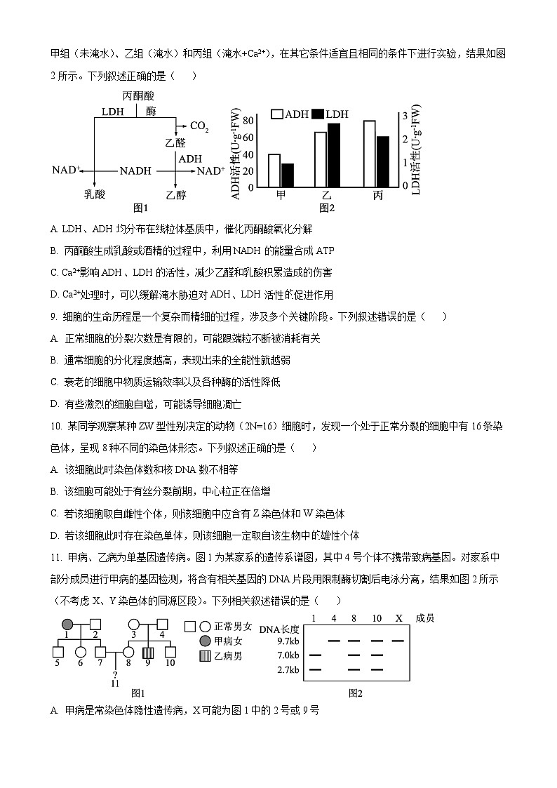 湖北省重点中学2025届高三上学期第一次联考生物试题 Word版无答案第3页