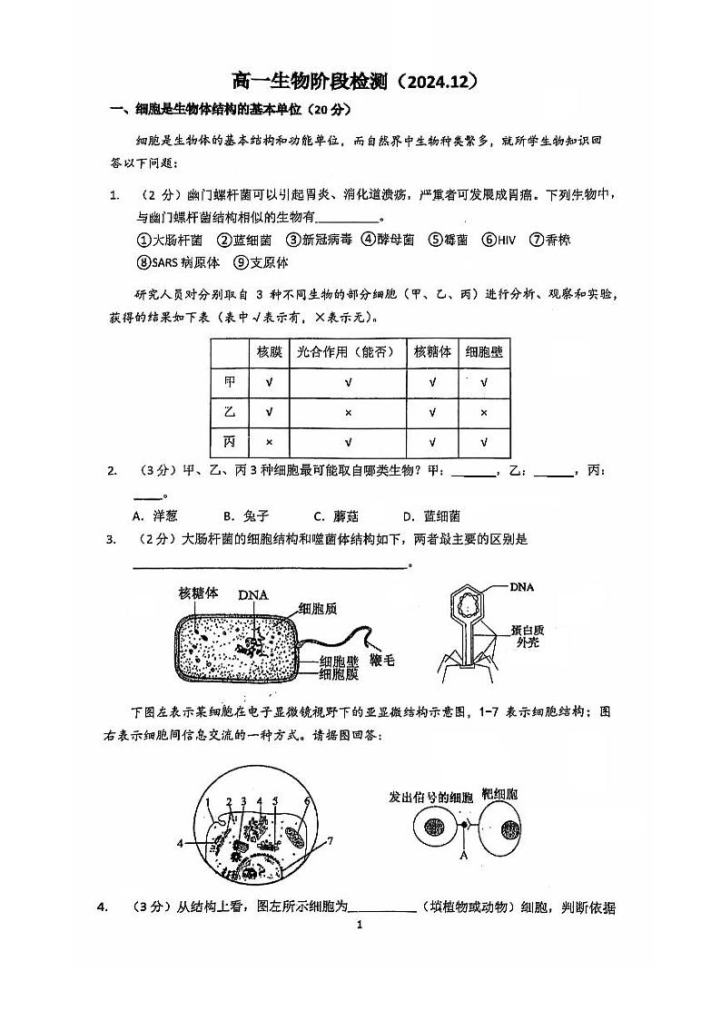 上海市华东师范大学第二附属中学2024-2025学年高一上学期12月月考生物试题第1页