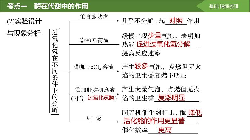 2025届高三生物一轮复习课件第9讲：降低化学反应活化能的酶第5页