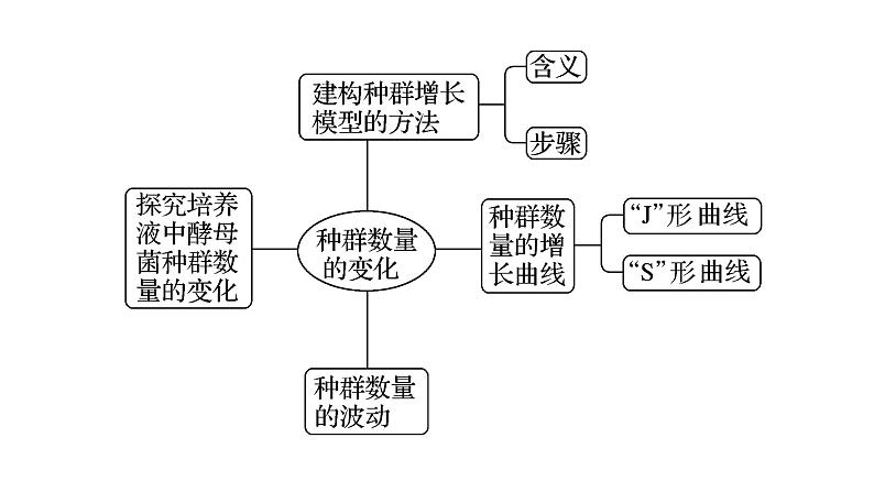 1.2 种群的数量变化-2024-2025学年高二生物同步高效教学课件（人教版2019选择性必修2）第2页