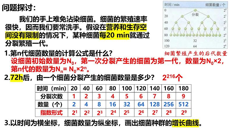 1.2 种群的数量变化-2024-2025学年高二生物同步高效教学课件（人教版2019选择性必修2）第3页