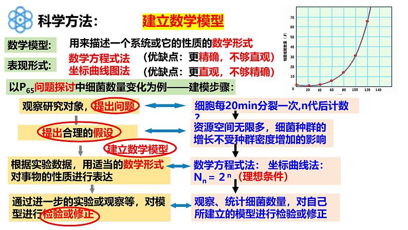 1.2 种群的数量变化-2024-2025学年高二生物同步高效教学课件（人教版2019选择性必修2）第4页