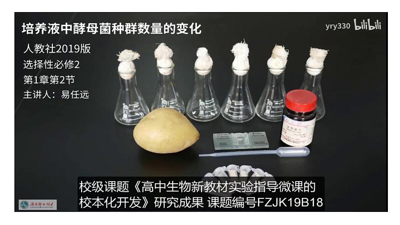 1.2 种群的数量变化（实验）-2024-2025学年高二生物同步高效教学课件（人教版2019选择性必修2）第3页