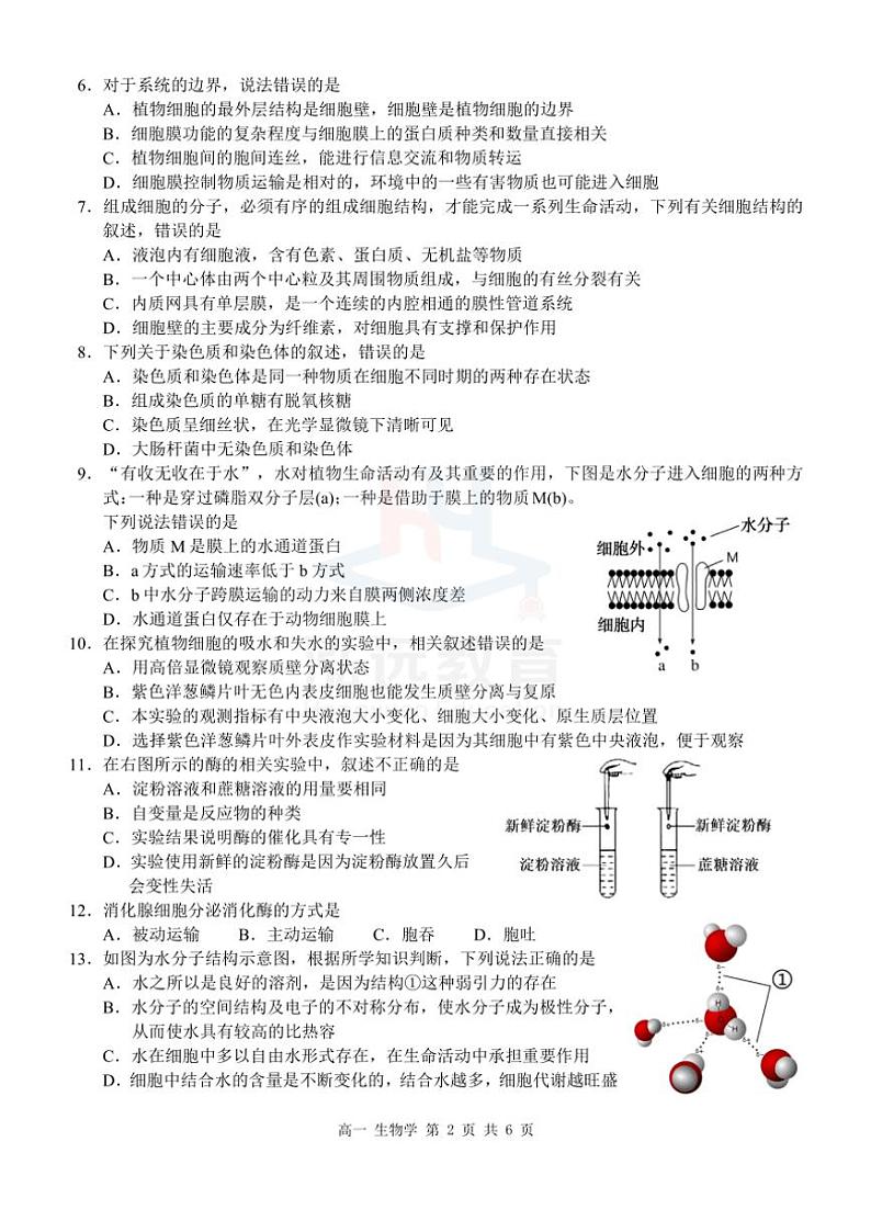 2024～2025学年广西河池市高一(上)12月联盟考试生物试卷(含答案)第2页