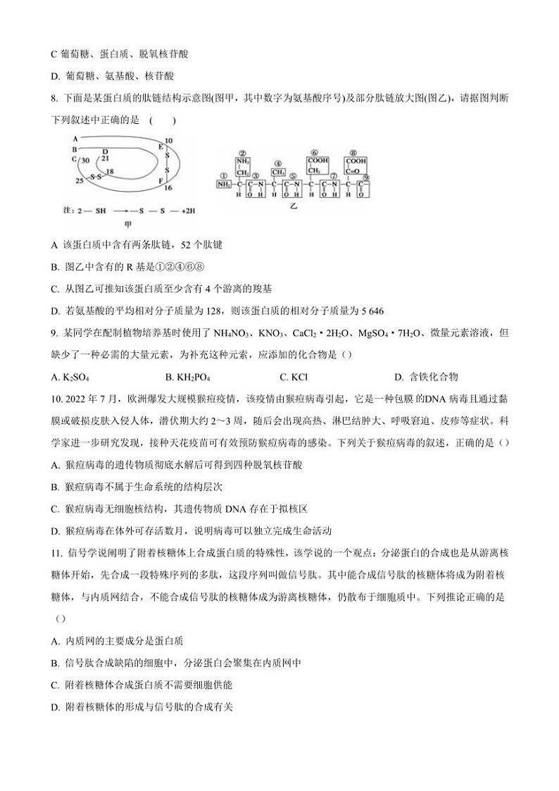 2024～2025学年湖北省部分高中高一(上)期中生物试卷(含答案)第3页