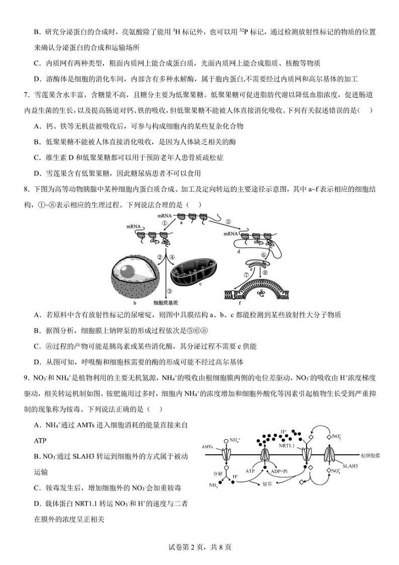 2024～2025学年四川省眉山市丹棱中学校高二(上)期中生物试卷(含答案)第2页