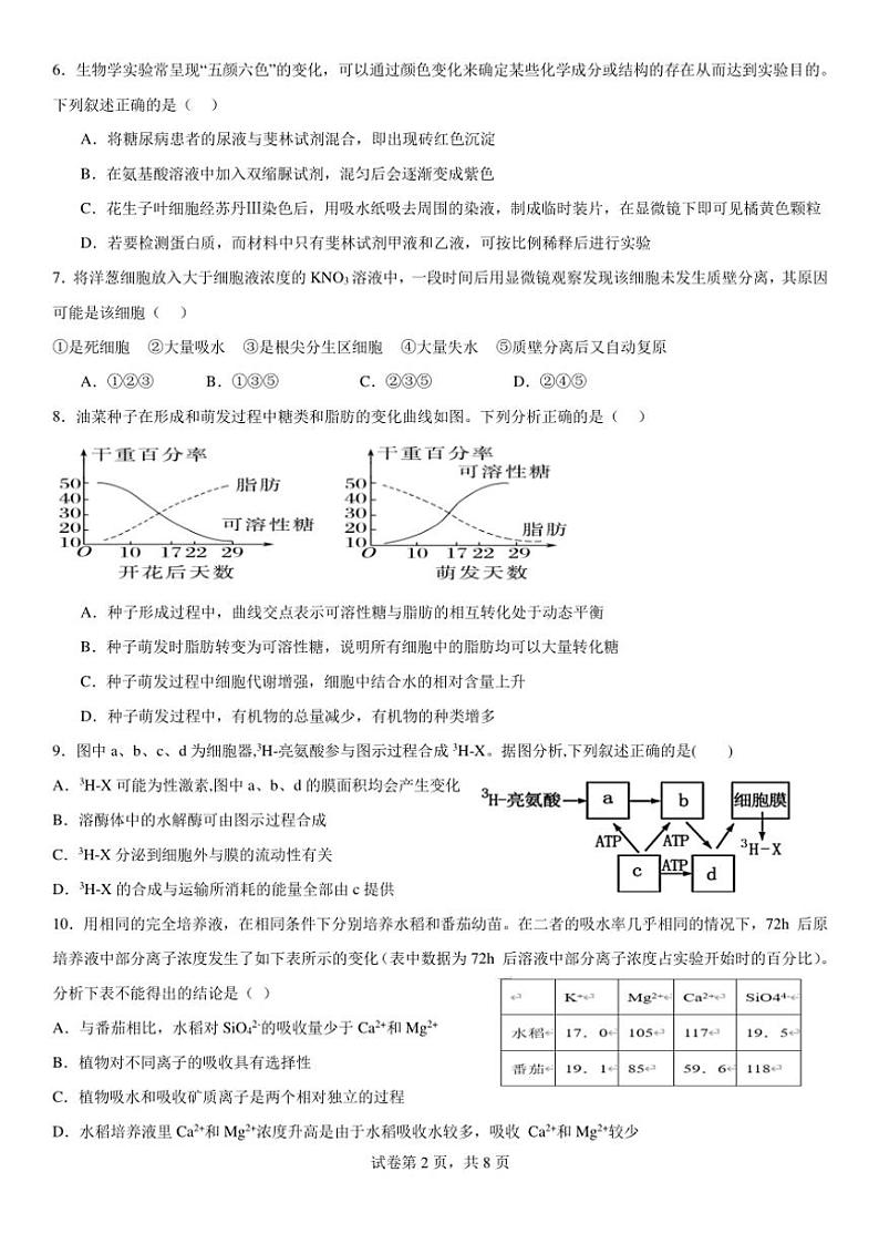 2024～2025学年四川省眉山市东坡区冠城实验学校高一(上)期中生物试卷(含答案)第2页