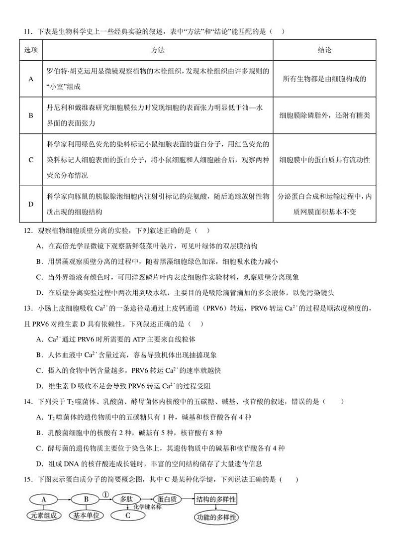 2024～2025学年四川省眉山市东坡区冠城实验学校高一(上)期中生物试卷(含答案)第3页