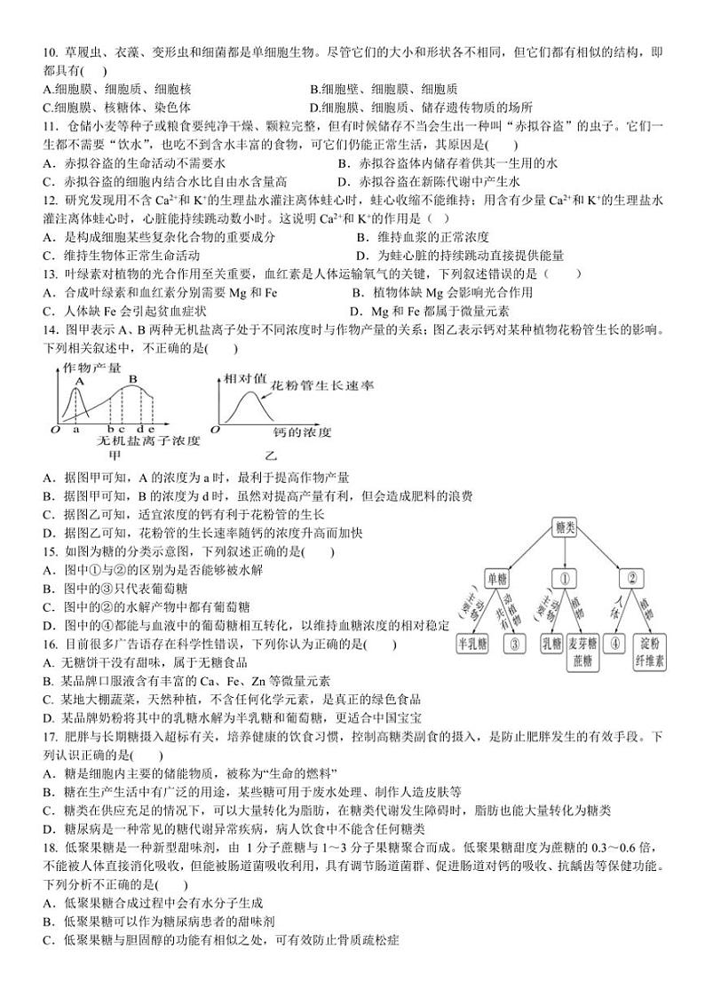 2024～2025学年四川省眉山市仁寿县铧强中学高一(上)期中生物试卷(含答案)第2页