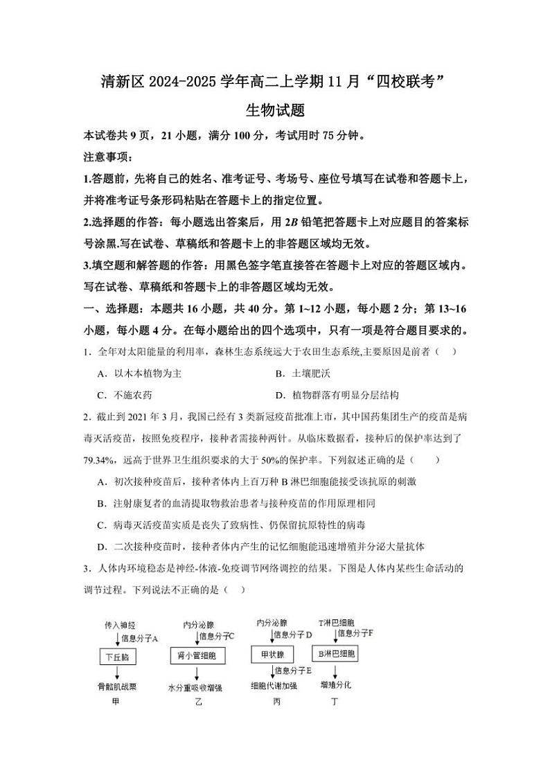 2024～2025学年广东省清远市清新区四校联考高二(上)11月月考生物试卷(含答案)第1页