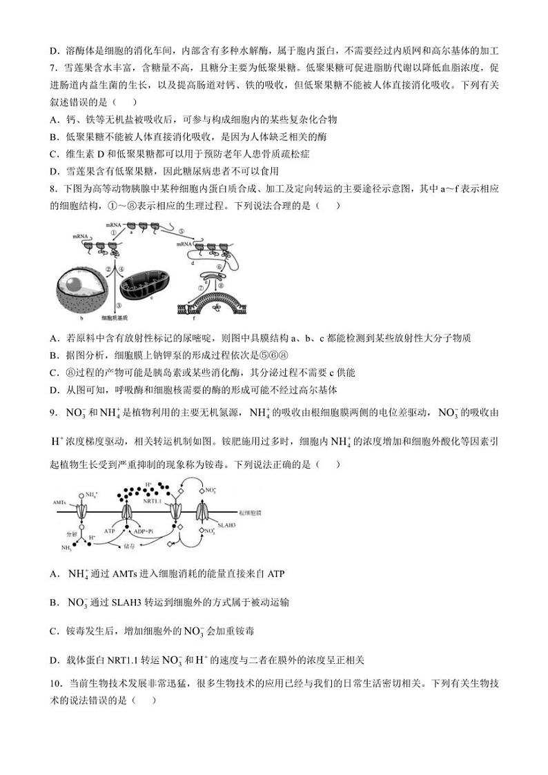 2024～2025学年四川省眉山市丹棱县丹棱中学校高二(上)期中生物试卷(含答案)第2页