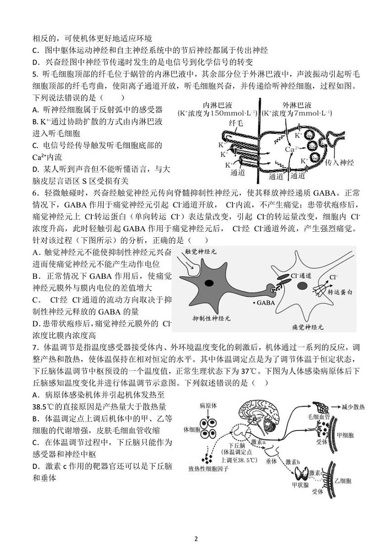 2024～2025学年河北省保定市唐县第一中学高三(上)12月考试生物试卷(含答案)第2页