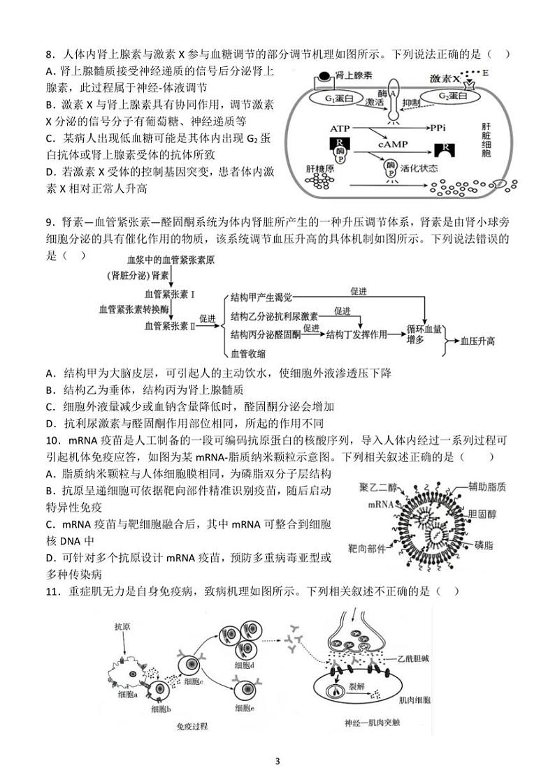 2024～2025学年河北省保定市唐县第一中学高三(上)12月考试生物试卷(含答案)第3页