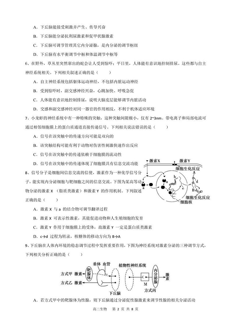 2024～2025学年四川省眉山市东坡区眉山北外附属东坡外国语学校高二(上)期中生物试卷(含答案)第2页