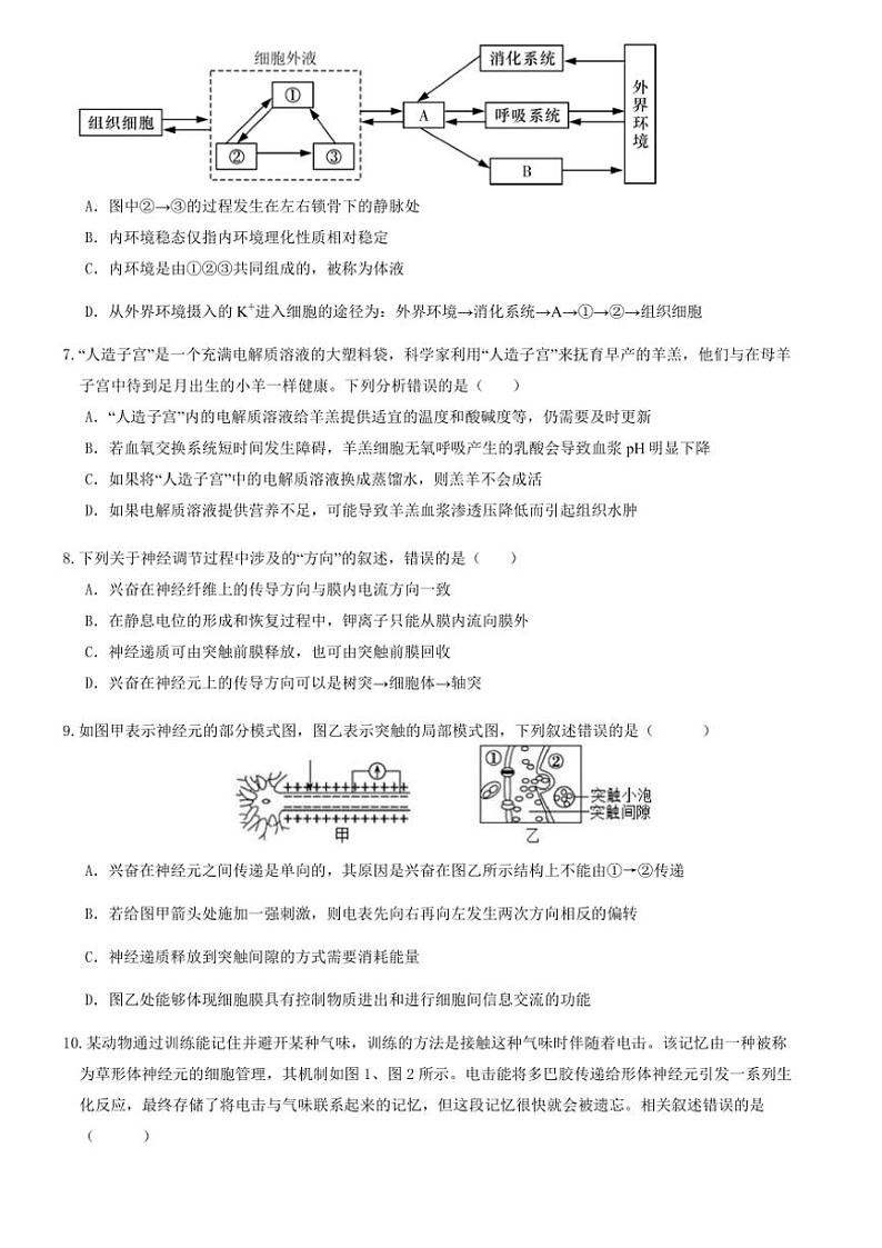2024～2025学年河南省郑州市中牟县第一高级中学高二(上)11月第三次月考生物试卷(含解析)第3页
