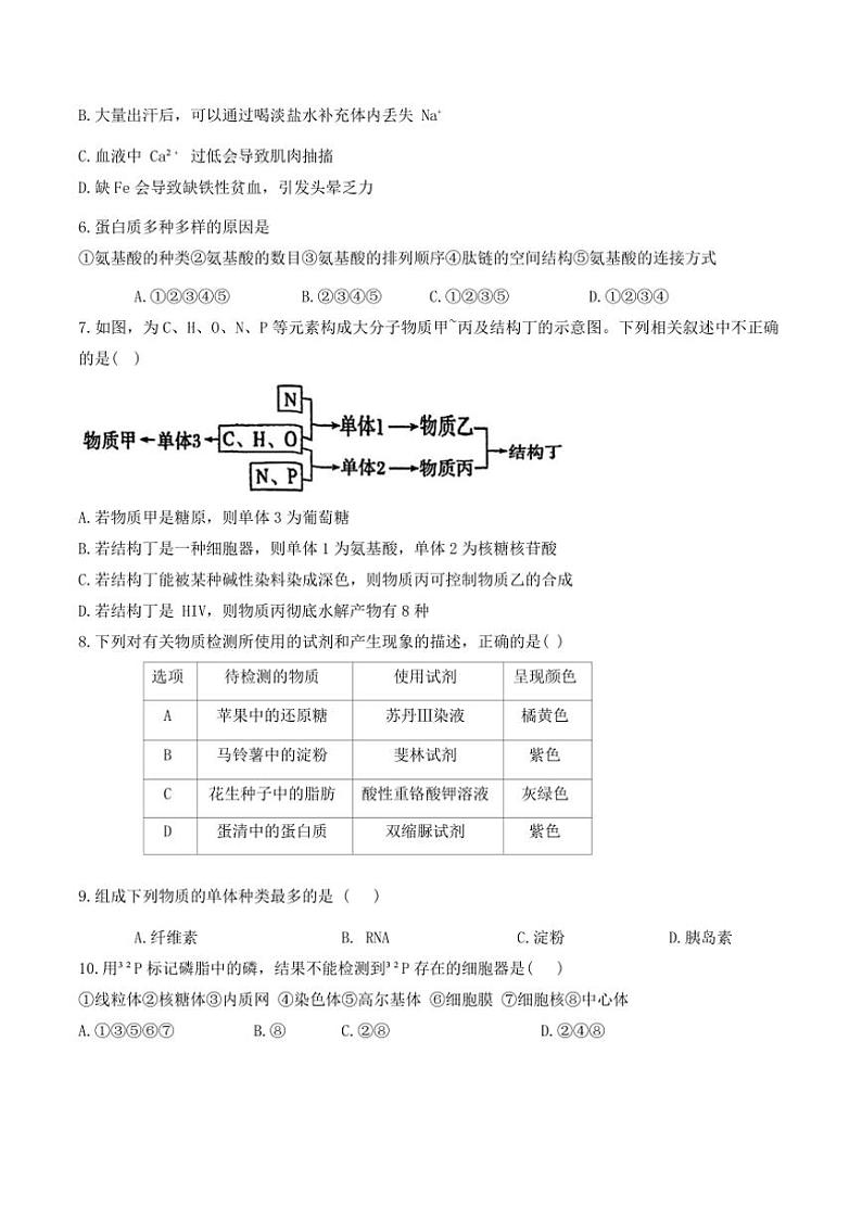 2024～2025学年天津市耀华中学滨城学校高一(上)12月月考生物试卷(含答案)第2页