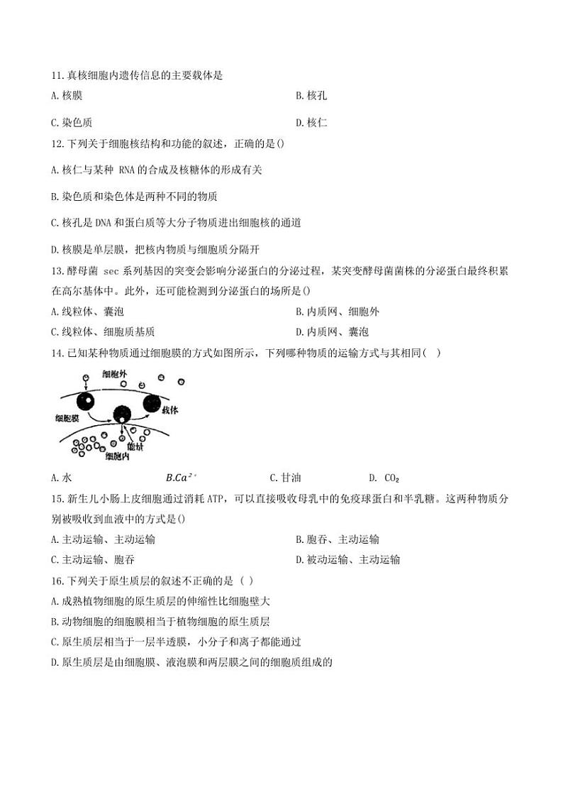 2024～2025学年天津市耀华中学滨城学校高一(上)12月月考生物试卷(含答案)第3页