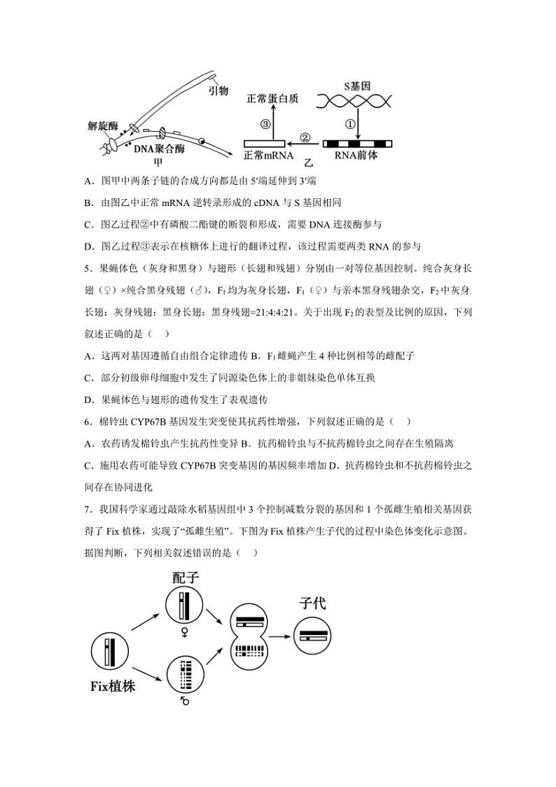 2024～2025学年广西钦州市第四中学高三(上)10月月考生物试卷(含答案)第2页