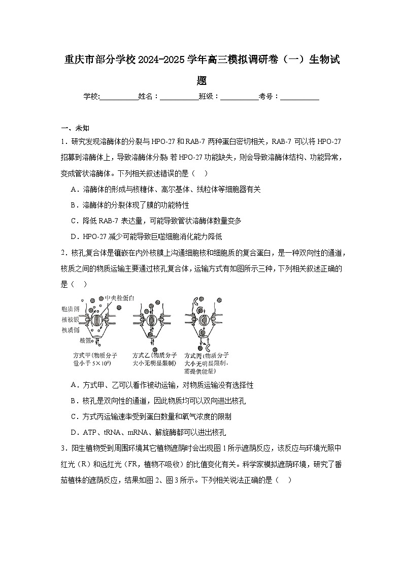 重庆市部分学校2024-2025学年高三模拟调研卷（一）生物试题第1页