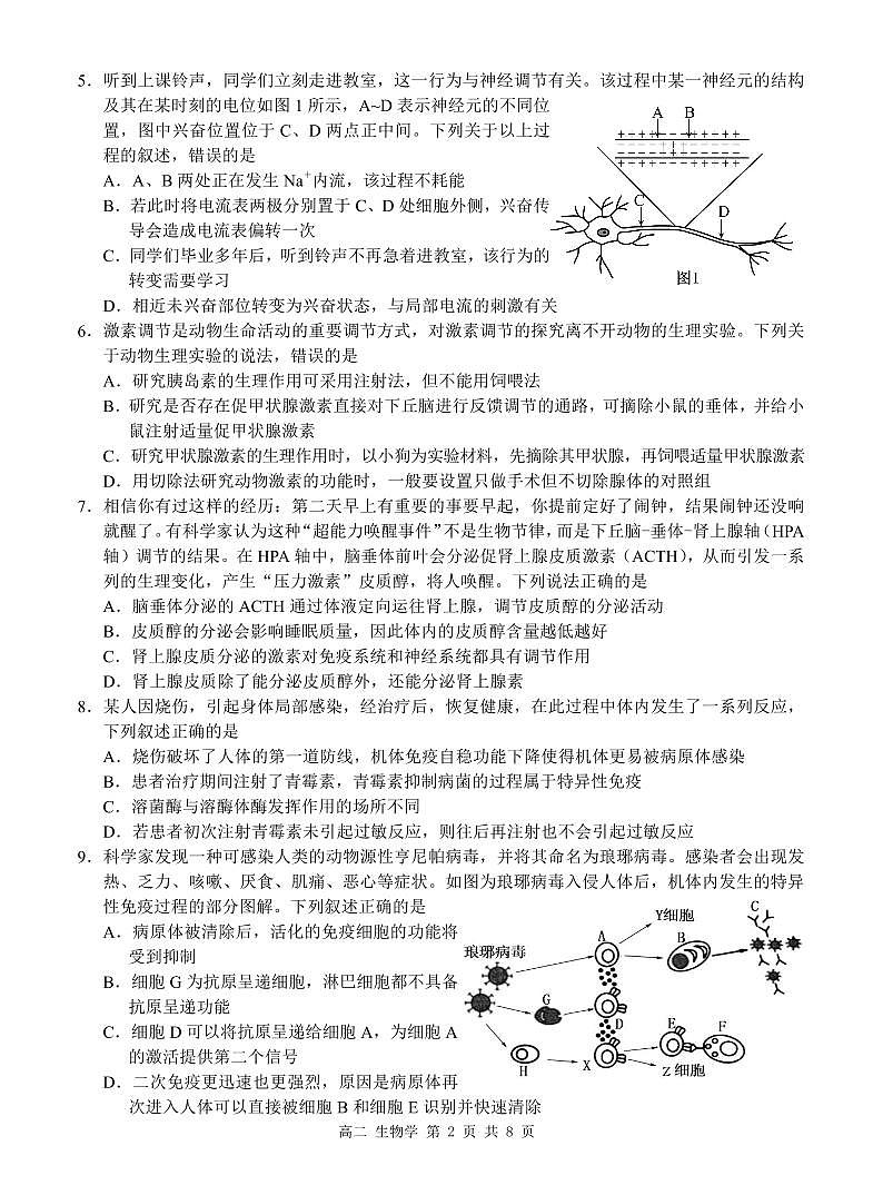 生物-广西河池市2024-2025学年高二上学期12月联盟考试第2页