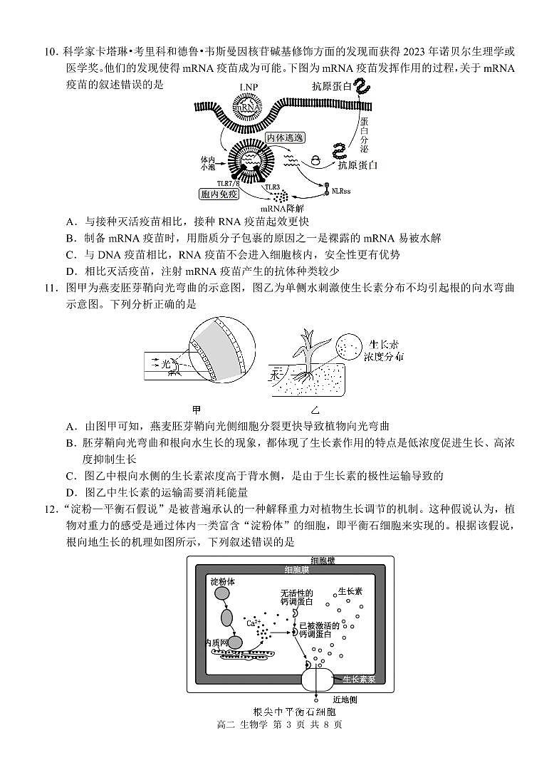 生物-广西河池市2024-2025学年高二上学期12月联盟考试第3页